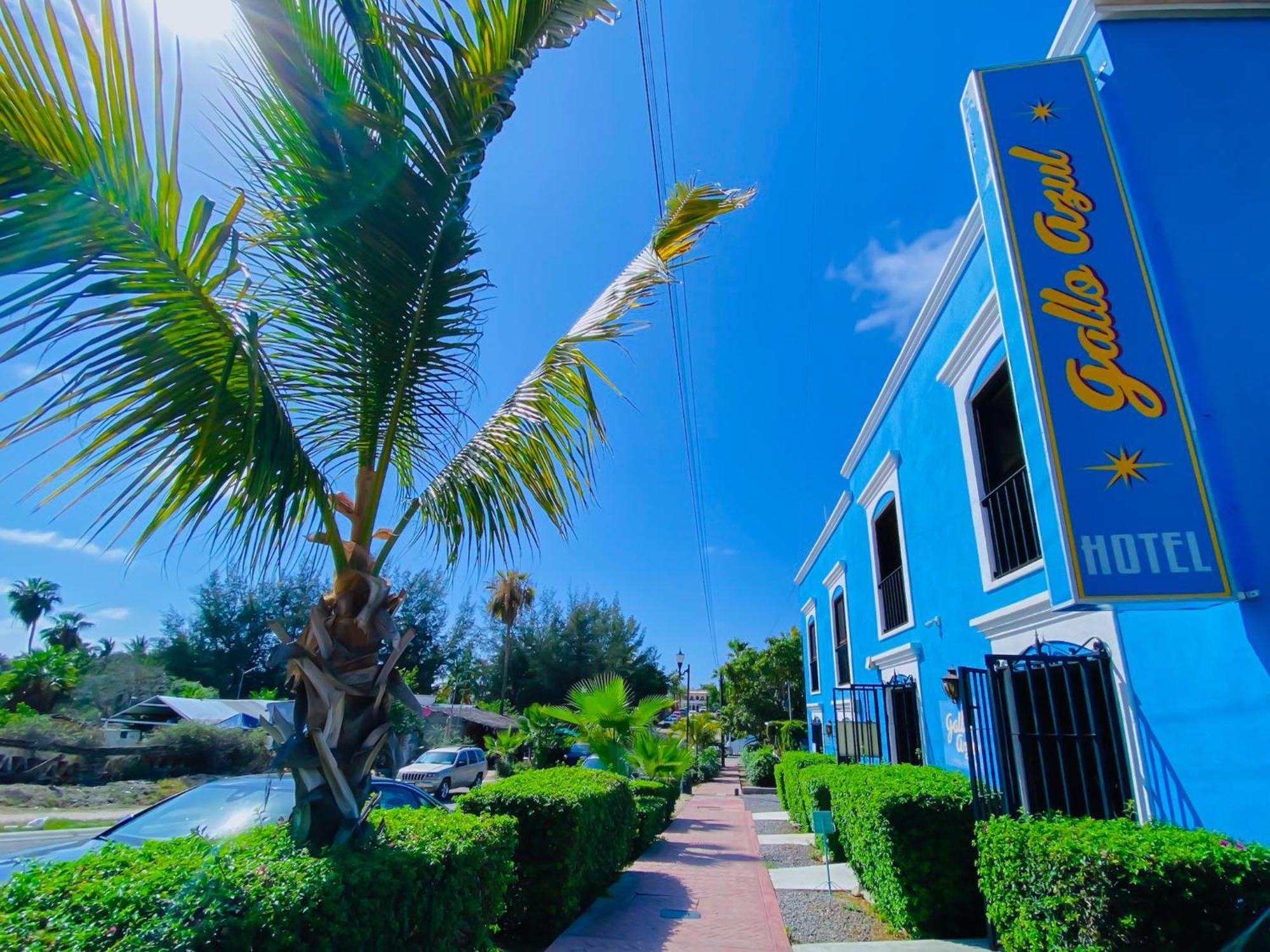 Gallo Azul Hotel, En El Corazon De Todos Santos Exterior photo